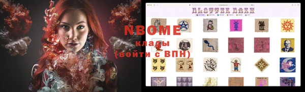 гидра Бронницы