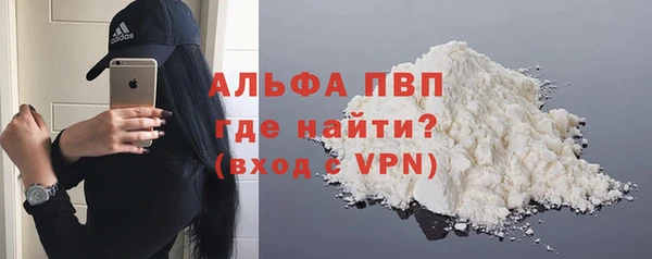 стаф Бородино