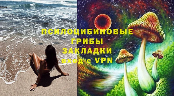 прущая мука Богородск