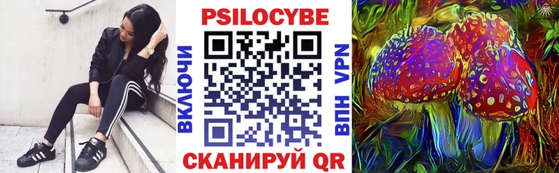 Купить где  Ступино  Псилоцибиновые грибы Psilocybe 